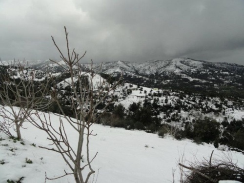 - صور لمنطقة الجمعة بني حبيبي وهي تكتسي بثلوج 2012 Mod_article38614645_4f319ebbb5d2e