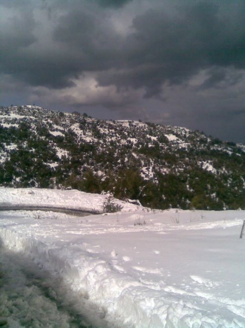 - صور لمنطقة الجمعة بني حبيبي وهي تكتسي بثلوج 2012 Mod_article38614645_4f319f013e8fd
