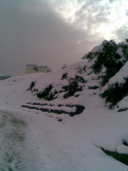 - صور لمنطقة الجمعة بني حبيبي وهي تكتسي بثلوج 2012 Mod_article38614645_4f319f60e75b0