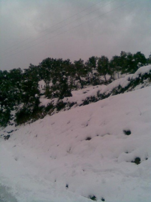 - صور لمنطقة الجمعة بني حبيبي وهي تكتسي بثلوج 2012 Mod_article38614645_4f31a00b95671