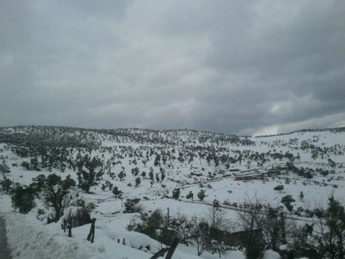 - صور لمنطقة الجمعة بني حبيبي وهي تكتسي بثلوج 2012 Mod_article38614645_4f31a01da92de