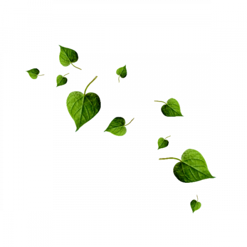 Tube Plantes.