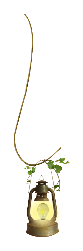 Tube Plantes et supports